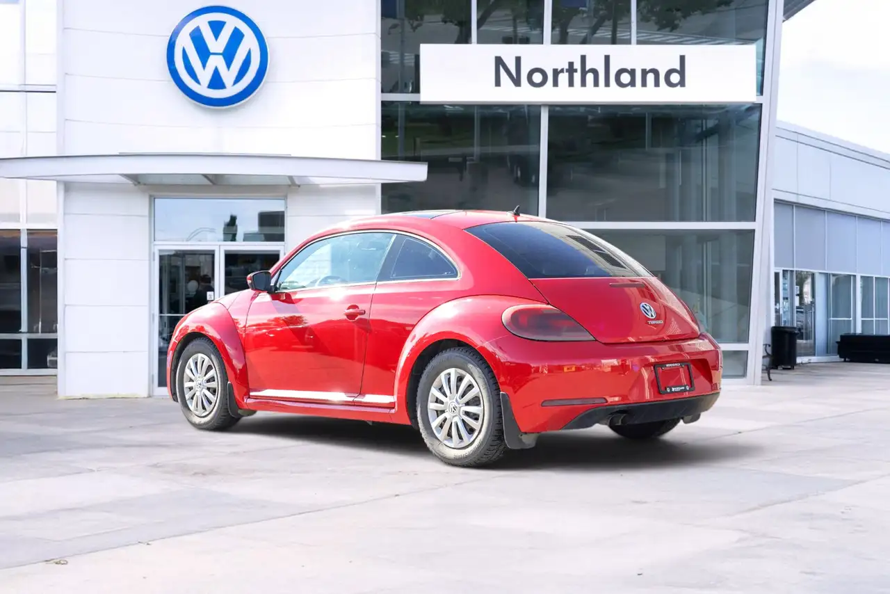 Volkswagen Beetle fotografie Volkswagen Beetle