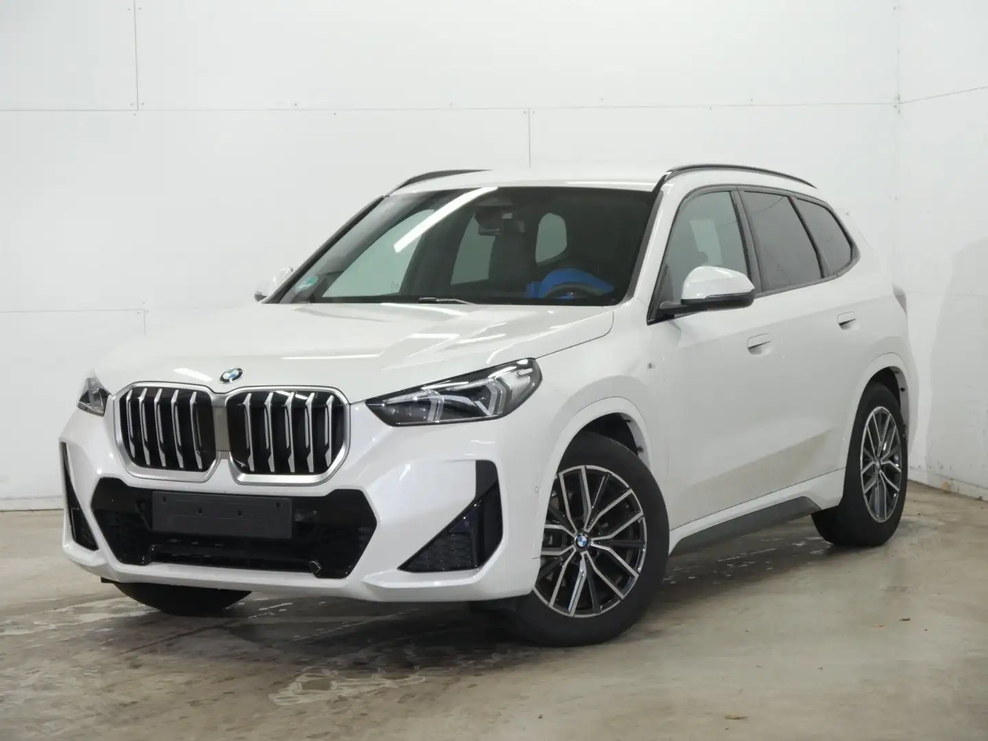 BMW X1 xDrive20d M Sportpaket HK HiFi DAB LED Shz Weiß - 1