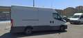 Iveco Daily Daily Furgón 33S16 V 3520 H1 9.0 156 Blanco - thumbnail 3