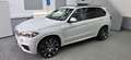 BMW X5 X5 xDrive40d Weiß - thumbnail 20