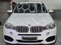 BMW X5 X5 xDrive40d Weiß - thumbnail 21