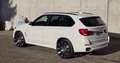 BMW X5 X5 xDrive40d Weiß - thumbnail 16