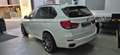 BMW X5 X5 xDrive40d Weiß - thumbnail 3