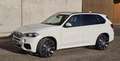 BMW X5 X5 xDrive40d Weiß - thumbnail 17