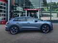 Audi Sonstige 40 E-TRON SOH 97,97% TREKHAAK/PANODAK/STOELVERW/PD Grau - thumbnail 4