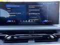 BMW XM Gestiksteuerung M Drivers P. HK HiFi DAB AHK Groen - thumbnail 16