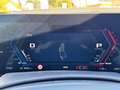 BMW XM Gestiksteuerung M Drivers P. HK HiFi DAB AHK Groen - thumbnail 20
