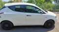 Lancia Ypsilon Ypsilon III 2015 1.0 firefly hybrid Silver s Alb - thumbnail 7