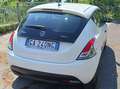 Lancia Ypsilon Ypsilon III 2015 1.0 firefly hybrid Silver s Alb - thumbnail 6