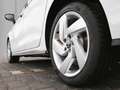 Volkswagen Golf VIII GTE 1.5 eHybrid DSG Black-Style 360°CAM Na... Weiß - thumbnail 6