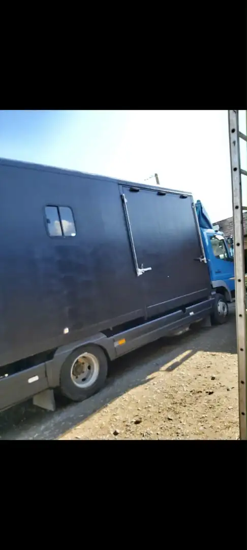Mercedes-Benz Atego Paardenvrachtwagen - 2