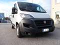 Fiat Ducato 30 2.3 MJT 120CV PC-TN Furgone Bianco - thumbnail 3