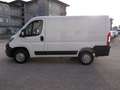 Fiat Ducato 30 2.3 MJT 120CV PC-TN Furgone Bianco - thumbnail 7