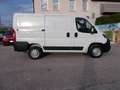 Fiat Ducato 30 2.3 MJT 120CV PC-TN Furgone Bianco - thumbnail 5
