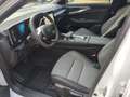Renault Austral Full Hybrid E-TECH 200 Techno Pano+Google+LED Weiß - thumbnail 5