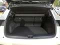 Renault Austral Full Hybrid E-TECH 200 Techno Pano+Google+LED Weiß - thumbnail 15