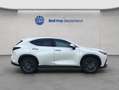 Lexus NX350h 4x4 Executive Alle Extras Modell2026 Blanco - thumbnail 4
