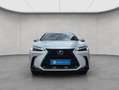 Lexus NX350h 4x4 Executive Alle Extras Modell2026 Blanco - thumbnail 6
