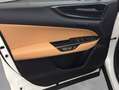 Lexus NX350h 4x4 Executive Alle Extras Modell2026 Blanco - thumbnail 10