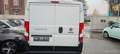 Fiat Ducato Multijet 130 Blanc - thumbnail 6