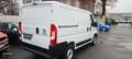Fiat Ducato Multijet 130 Blanc - thumbnail 2
