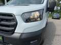 Ford Transit Kasten 2.0 TDCi 290 L2 Trend AHK+PDC+TEMP Weiß - thumbnail 14