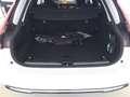 Volvo V90 T6 Plus Dark Recharge Plug-In Hybrid AWD Weiß - thumbnail 6
