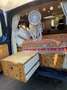 Ford Transit Transit FT 280 K Variobus 4.36 startup startup Blau - thumbnail 12
