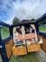 Ford Transit Transit FT 280 K Variobus 4.36 startup startup Blau - thumbnail 14