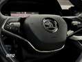 Skoda Kamiq 1.0 TSI 81 kW Gris - thumbnail 18