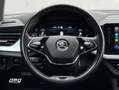 Skoda Kamiq 1.0 TSI 81 kW Gris - thumbnail 12