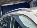 Skoda Kamiq 1.0 TSI 81 kW Gris - thumbnail 25