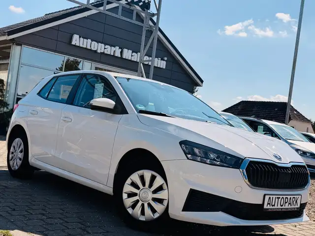 Skoda Fabia main image