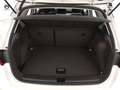 SEAT Arona Arona 1.0 EcoTSI Style Bianco - thumbnail 13