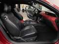 Ford Mustang MUSTANG 5.0 V8 #CERVINI VEREDELUNG - #EINMALIG Rot - thumbnail 7