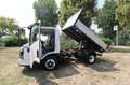 Isuzu M27 GENERATION2 PASSO E CON RIBALTABILE TITAN Белый - thumbnail 11
