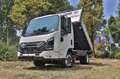 Isuzu M27 GENERATION2 PASSO E CON RIBALTABILE TITAN Белый - thumbnail 1
