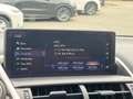 Lexus NX 300h AWD Luxury Line TREKHAAK SCHUIFDAK STUURVERW AD-CR Gris - thumbnail 28