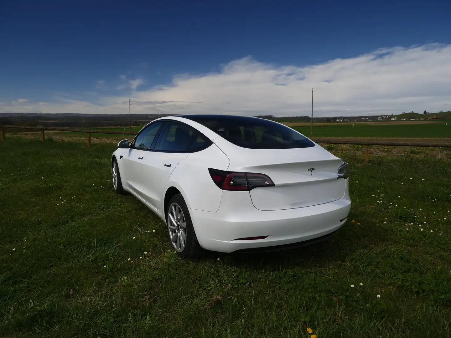 Tesla Model 3 SR+ 2021 refresh | 60 kWh | AHK | 8 Reifen Weiß - 2
