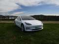 Tesla Model 3 SR+ 2021 refresh | 60 kWh | AHK | 8 Reifen Weiß - thumbnail 1