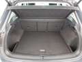 Volkswagen Tiguan 2.0 TDI 4Motion Life Aut LED AHK RADAR NAV Grau - thumbnail 24