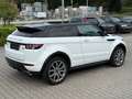 Land Rover Range Rover Evoque Dynamic*Leder*Memory*Keyless Weiß - thumbnail 10