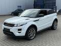 Land Rover Range Rover Evoque Dynamic*Leder*Memory*Keyless Weiß - thumbnail 7