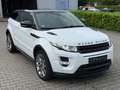 Land Rover Range Rover Evoque Dynamic*Leder*Memory*Keyless Weiß - thumbnail 4