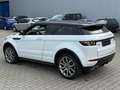 Land Rover Range Rover Evoque Dynamic*Leder*Memory*Keyless Weiß - thumbnail 12