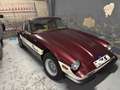 TVR TAIMAR SPORTS Fioletowy - thumbnail 4