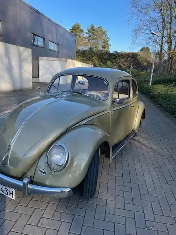 Volkswagen Käfer Export Modell