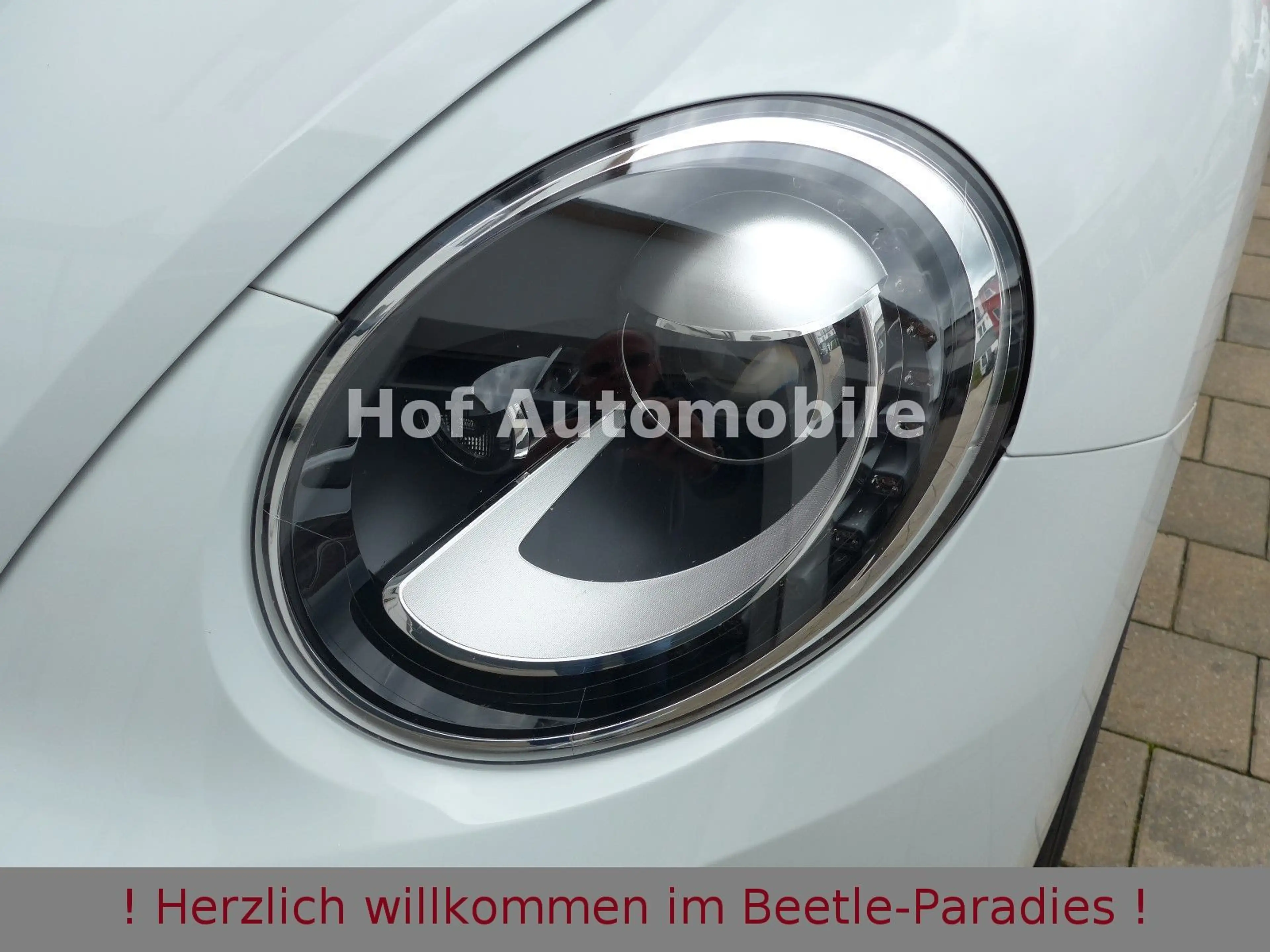 Volkswagen Beetle 1.2TSI Allstar Plus Xenon Leder Fender — photo 13