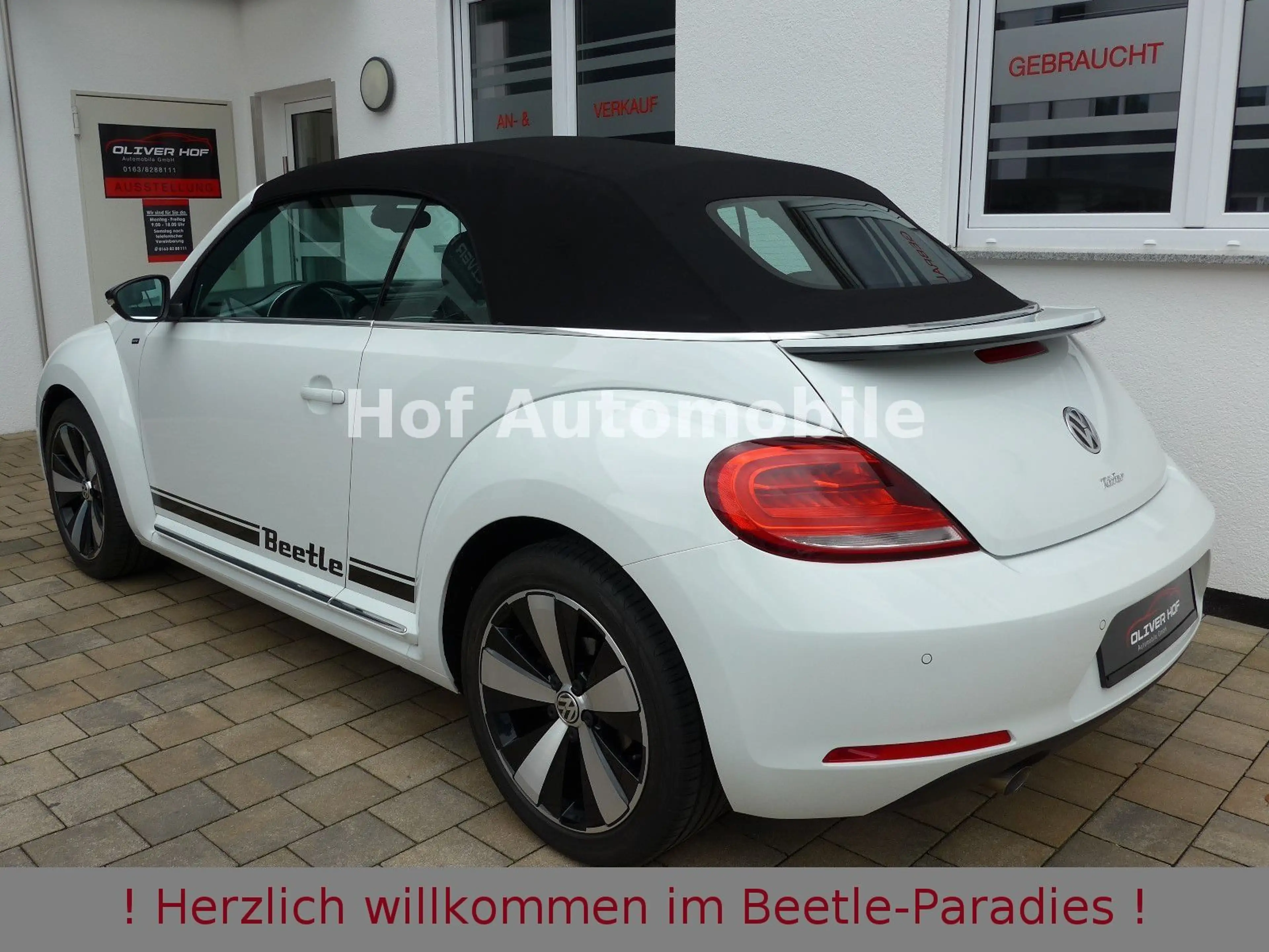 Volkswagen Beetle 1.2TSI Allstar Plus Xenon Leder Fender — photo 4