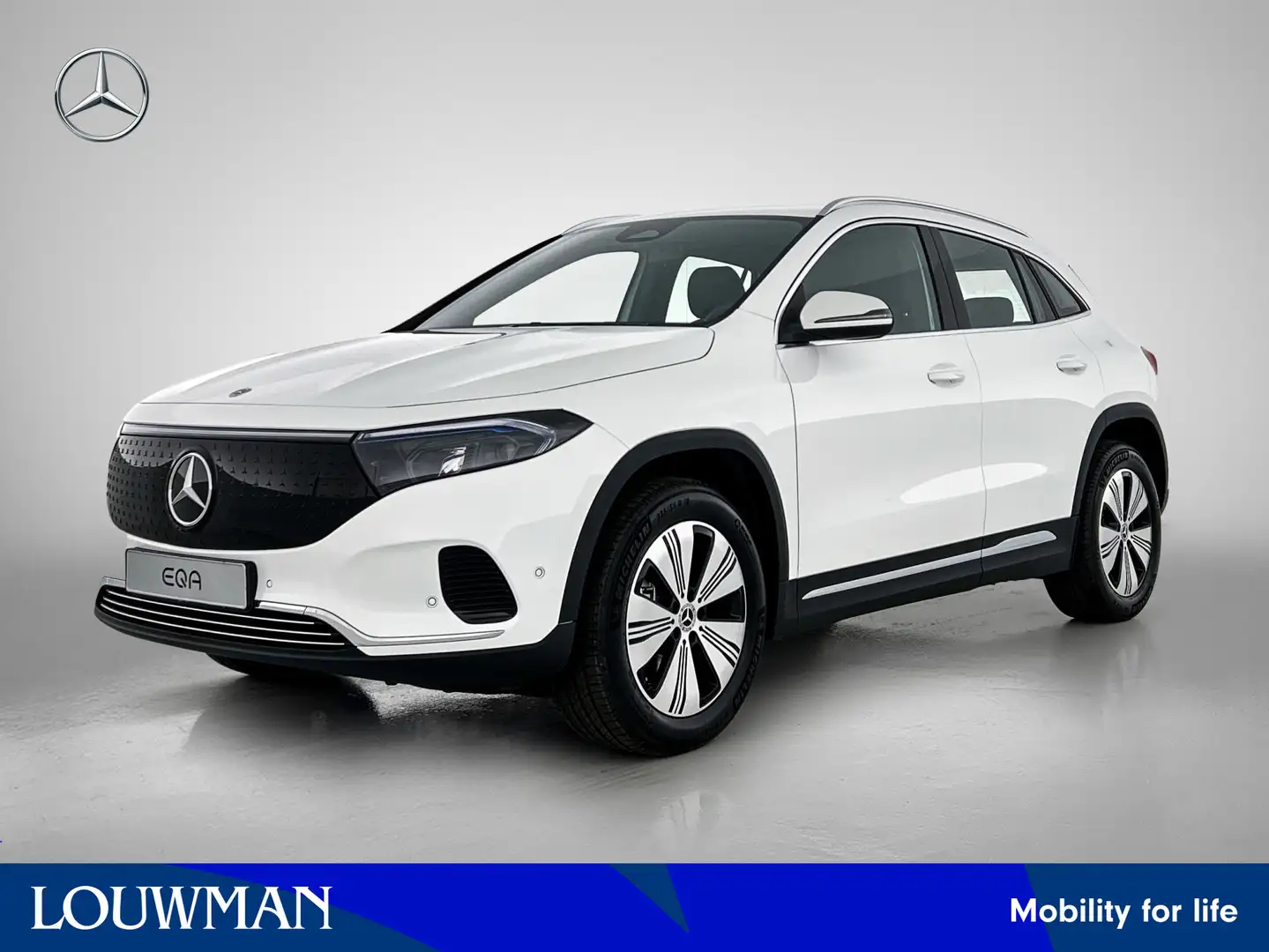Mercedes-Benz EQA 250 250+ Business Solution 71 kWh | Parkeerpakket met Wit - 1
